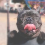 This Artists Instagram Feed Is the Most Horrifying Thing You’ve Ever Seen