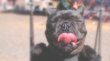 This Artists Instagram Feed Is the Most Horrifying Thing You’ve Ever Seen